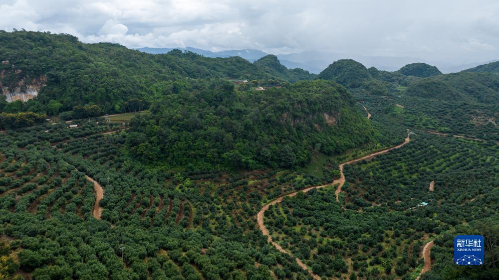 微乐斗地主电脑版下载八喜牌新连炸